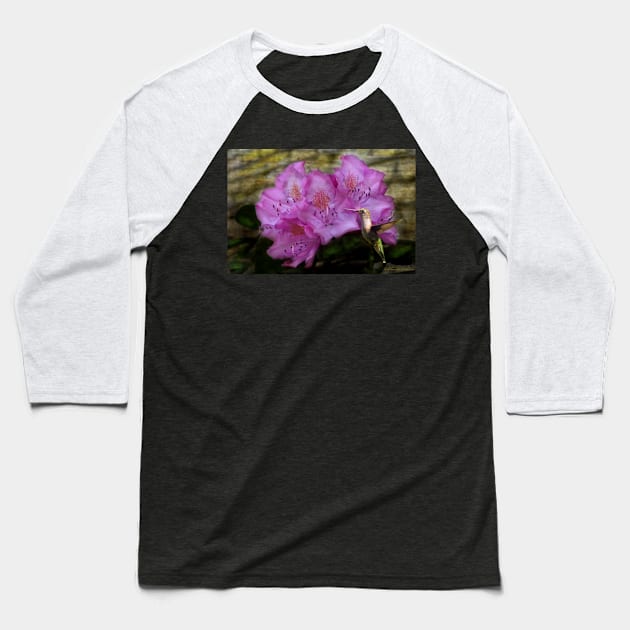 Hummingbird With Purple Flowers Baseball T-Shirt by michaelasamples